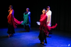 Flamenco voorstelling Lene_12 juni 2016-15-3_Lien Wevers_Lage resolutie (social media, web)
