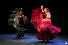 Flamenco voorstelling Lene_12 juni 2016-697_Lien Wevers_Lage resolutie (social media, web)