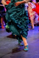 Flamenco voorstelling_juni 2018_Lien Wevers photographer_lage resolutie (web)_174