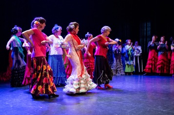Flamenco voorstelling_juni 2018_Lien Wevers photographer_lage resolutie (web)_42