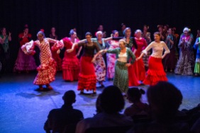 Flamenco voorstelling_juni 2018_Lien Wevers photographer_lage resolutie (web)_43
