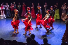 Flamenco voorstelling_juni 2018_Lien Wevers photographer_lage resolutie (web)_47