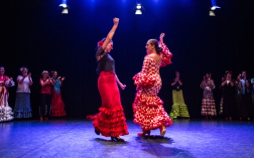 Flamenco voorstelling_juni 2018_Lien Wevers photographer_lage resolutie (web)_48