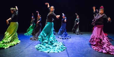 Flamenco voorstelling_juni 2018_Lien Wevers photographer_lage resolutie (web)_58