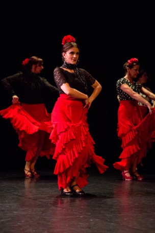 Flamenco voorstelling_juni 2018_Lien Wevers photographer_lage resolutie (web)_65