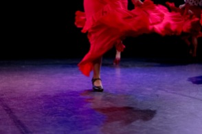 Flamenco voorstelling_juni 2018_Lien Wevers photographer_lage resolutie (web)_70