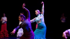 Flamenco voorstelling_juni 2018_Lien Wevers photographer_lage resolutie (web)_76