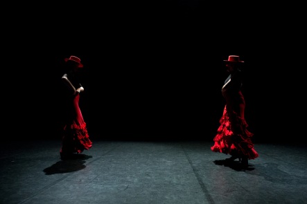 Flamenco voorstelling_juni 2018_Lien Wevers photographer_lage resolutie (web)_78
