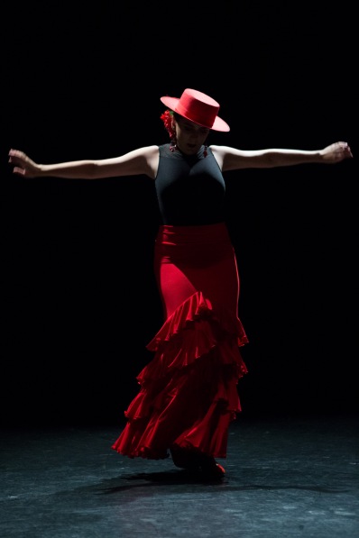 Flamenco voorstelling_juni 2018_Lien Wevers photographer_lage resolutie (web)_81