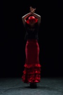 Flamenco voorstelling_juni 2018_Lien Wevers photographer_lage resolutie (web)_82