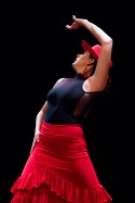Flamenco voorstelling_juni 2018_Lien Wevers photographer_lage resolutie (web)_87